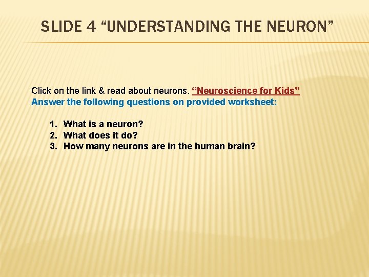 SLIDE 4 “UNDERSTANDING THE NEURON” Click on the link & read about neurons. “Neuroscience