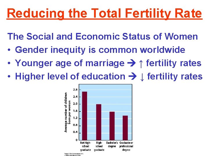 Reducing the Total Fertility Rate The Social and Economic Status of Women • Gender