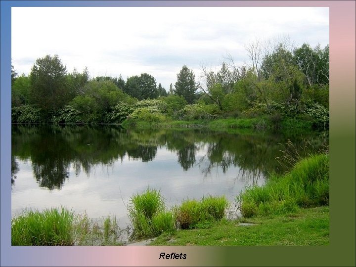 Reflets 