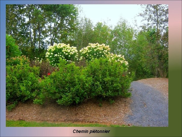 Chemin piétonnier 