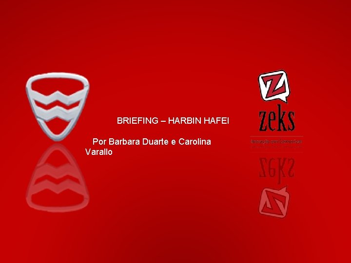 Objetivos do mercado BRIEFING – HARBIN HAFEI Expandir as vendas dos carros da marca.