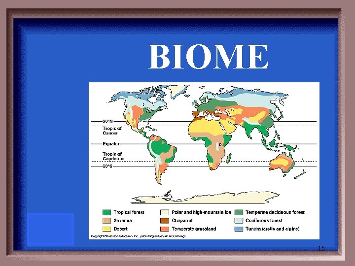 BIOME 15 