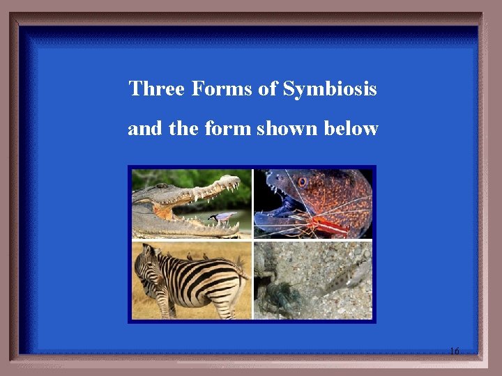 Three Forms of Symbiosis and the form shown below 16 