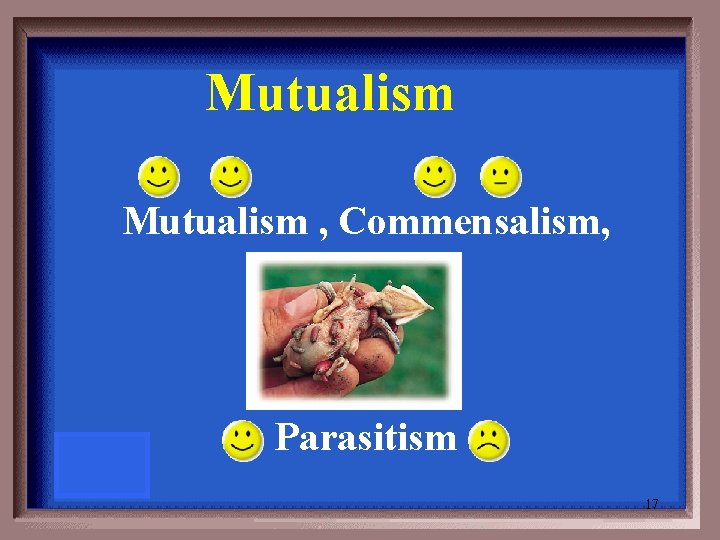 Mutualism , Commensalism, Parasitism 17 