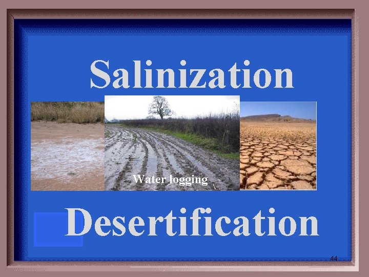  Salinization Water logging Desertification 44 