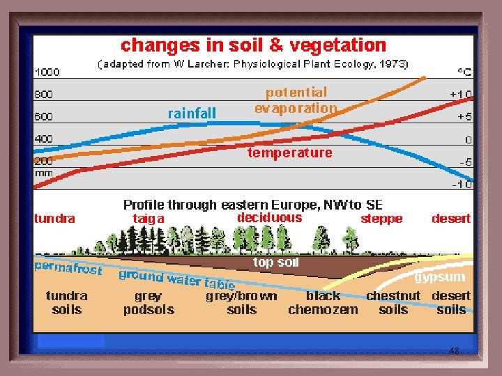 Leaf Litter Top Soil / Humus Subsoil Bedrock/ Parent Material 48 