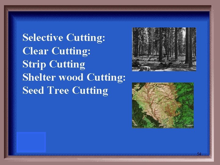 Selective Cutting: Clear Cutting: Strip Cutting Shelter wood Cutting: Seed Tree Cutting 54 