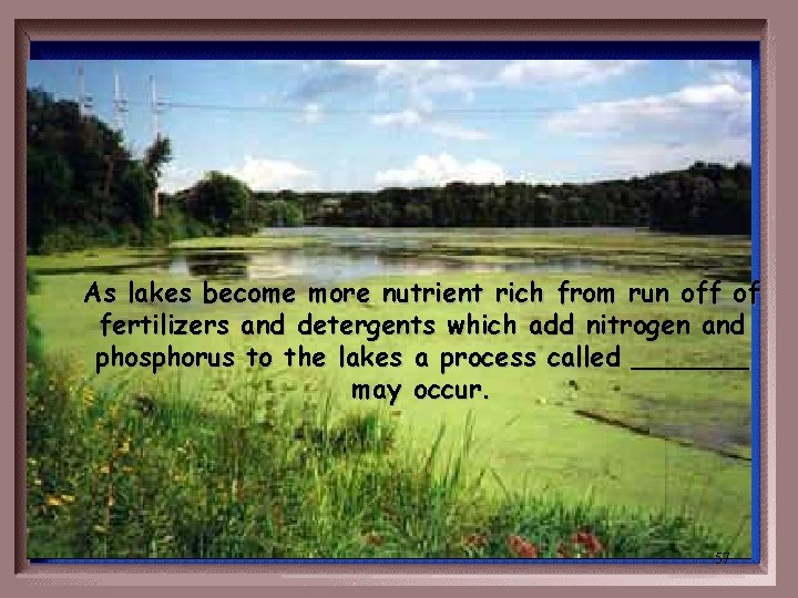 As lakes become more nutrient rich from run off of fertilizers and detergents which