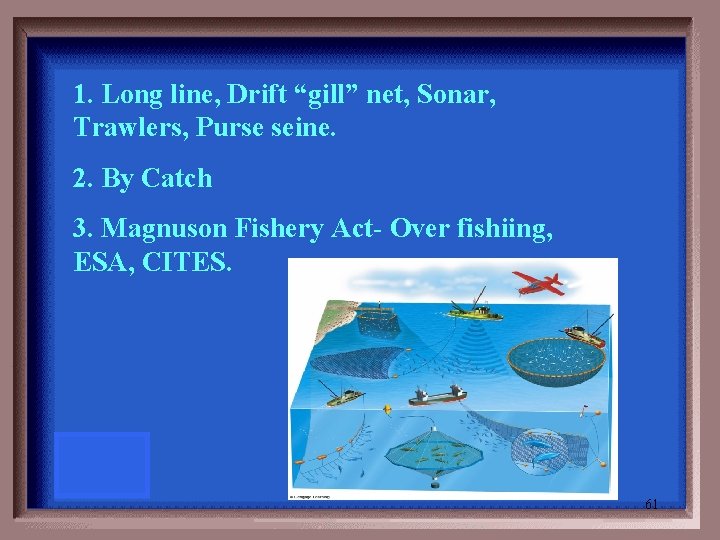 1. Long line, Drift “gill” net, Sonar, Trawlers, Purse seine. 2. By Catch 3.