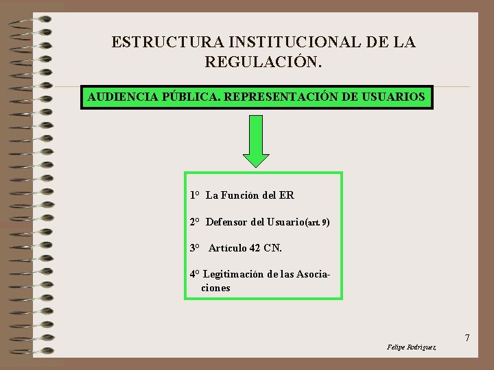 ESTRUCTURA INSTITUCIONAL DE LA REGULACIÓN. AUDIENCIA PÚBLICA. REPRESENTACIÓN DE USUARIOS 1° La Función del