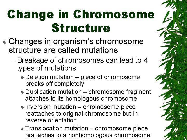 Change in Chromosome Structure Changes in organism’s chromosome structure are called mutations – Breakage