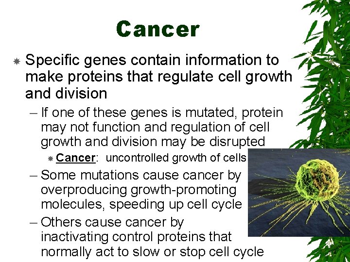 Cancer Specific genes contain information to make proteins that regulate cell growth and division