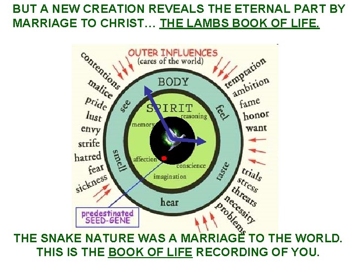 BUT A NEW CREATION REVEALS THE ETERNAL PART BY MARRIAGE TO CHRIST… THE LAMBS