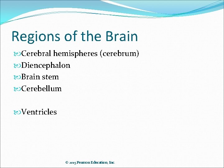 Regions of the Brain Cerebral hemispheres (cerebrum) Diencephalon Brain stem Cerebellum Ventricles © 2015