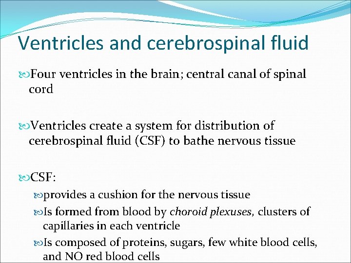 Ventricles and cerebrospinal fluid Four ventricles in the brain; central canal of spinal cord