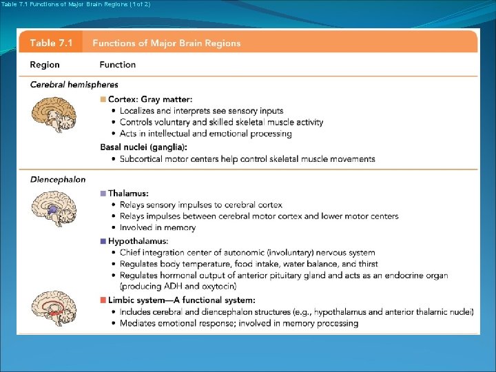 Table 7. 1 Functions of Major Brain Regions (1 of 2) 