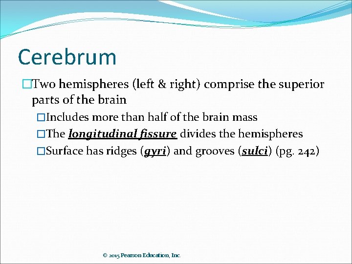 Cerebrum �Two hemispheres (left & right) comprise the superior parts of the brain �Includes