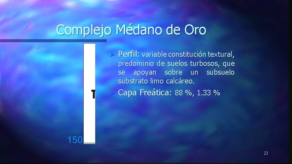 Complejo Médano de Oro Ø Perfil: variable constitución textural, predominio de suelos turbosos, que