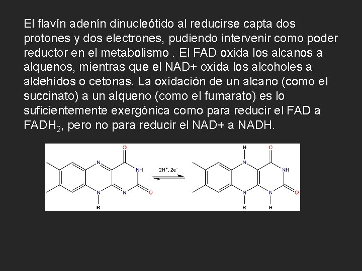 El flavín adenín dinucleótido al reducirse capta dos protones y dos electrones, pudiendo intervenir