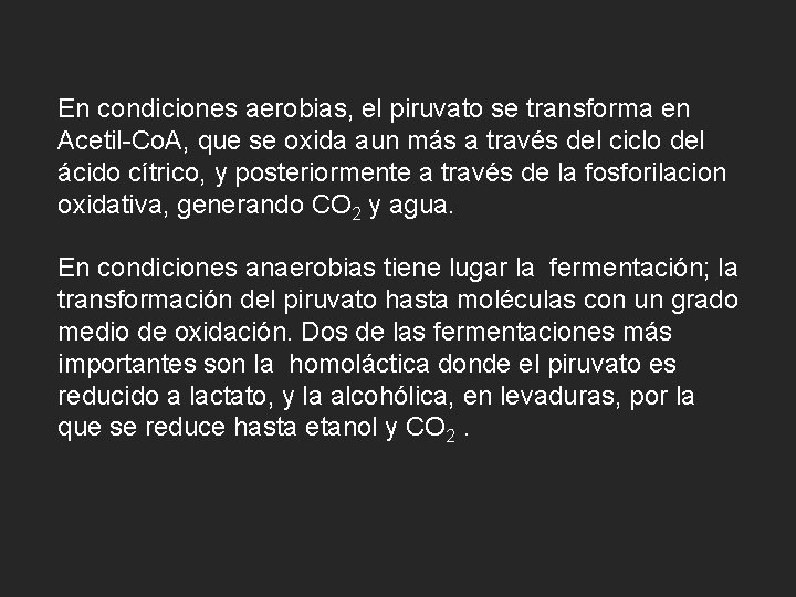 En condiciones aerobias, el piruvato se transforma en Acetil-Co. A, que se oxida aun