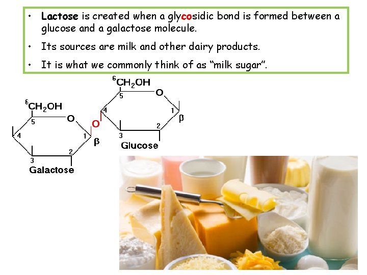  • Lactose is created when a glycosidic bond is formed between a glucose