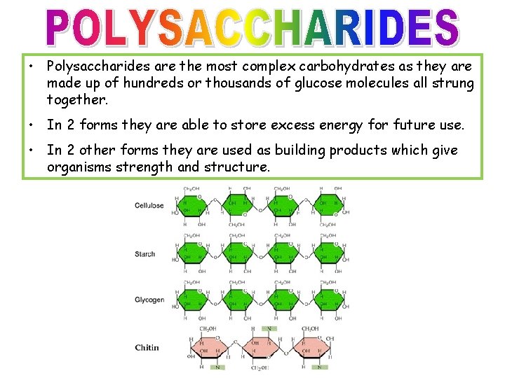  • Polysaccharides are the most complex carbohydrates as they are made up of