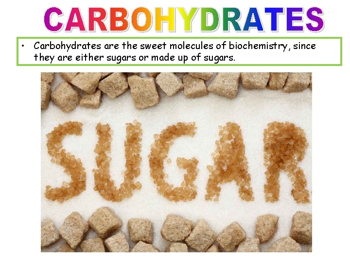  • Carbohydrates are the sweet molecules of biochemistry, since they are either sugars