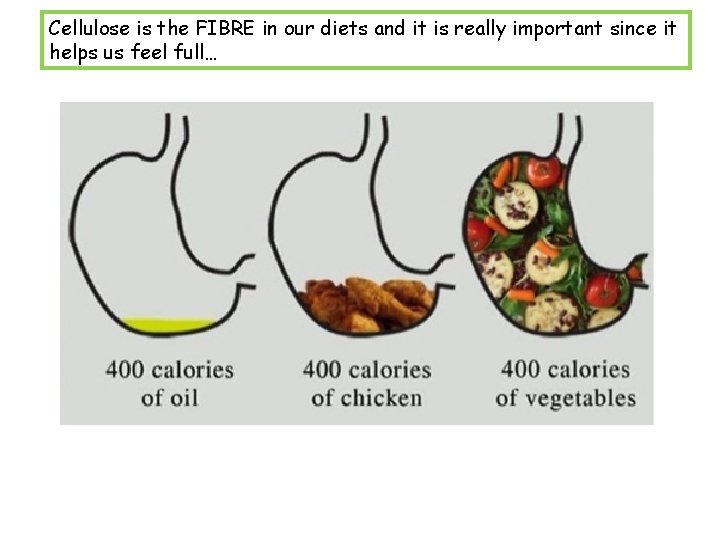 Cellulose is the FIBRE in our diets and it is really important since it