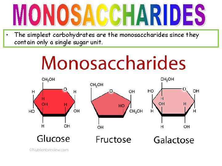  • The simplest carbohydrates are the monosaccharides since they contain only a single