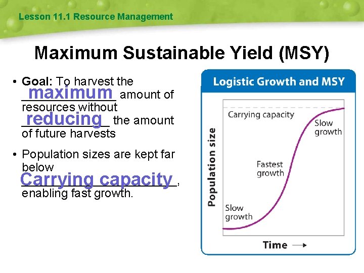 Lesson 11. 1 Resource Management Maximum Sustainable Yield (MSY) • Goal: To harvest the