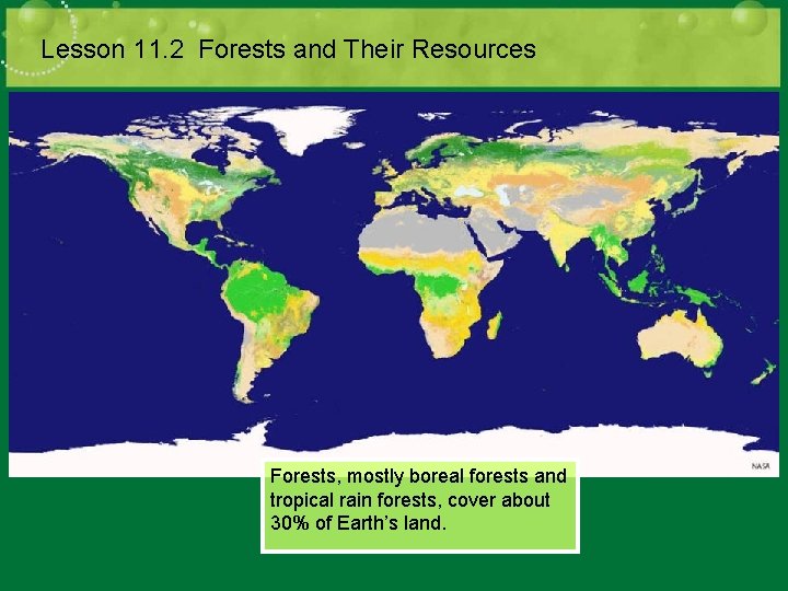 Lesson 11. 2 Forests and Their Resources Forests, mostly boreal forests and tropical rain