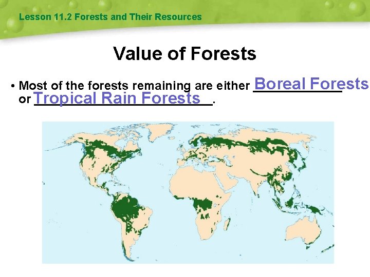 Lesson 11. 2 Forests and Their Resources Value of Forests Boreal Forests • Most