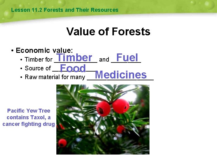 Lesson 11. 2 Forests and Their Resources Value of Forests • Economic value: Timber