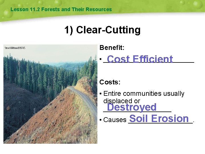 Lesson 11. 2 Forests and Their Resources 1) Clear-Cutting Benefit: • ____________ Cost Efficient