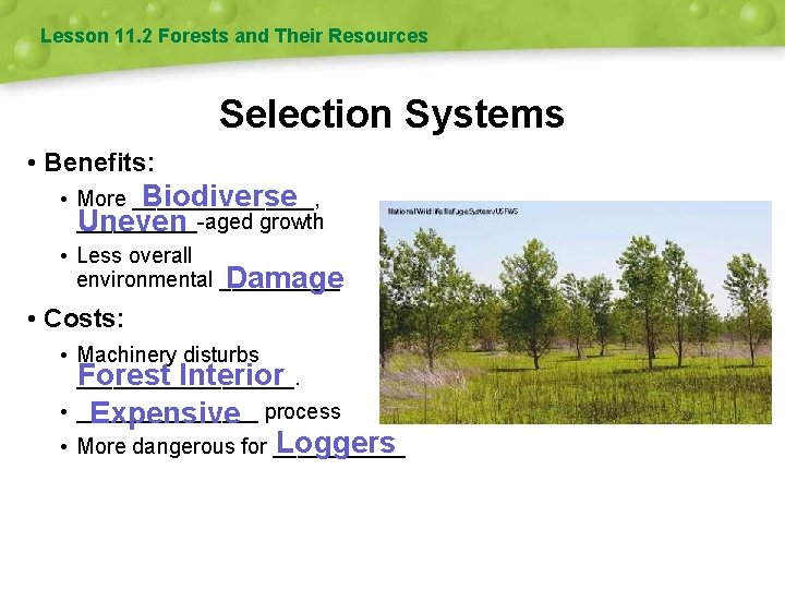 Lesson 11. 2 Forests and Their Resources Selection Systems • Benefits: • More ________,