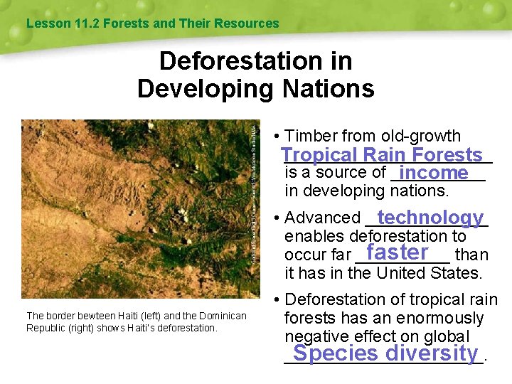 Lesson 11. 2 Forests and Their Resources Deforestation in Developing Nations • Timber from