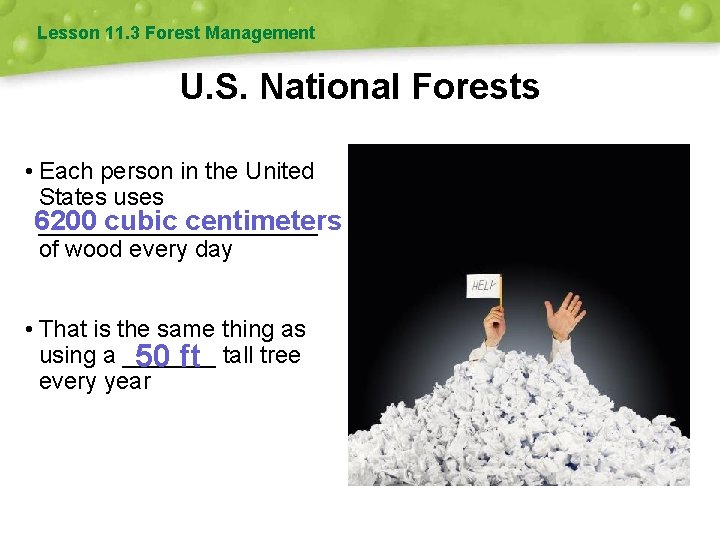 Lesson 11. 3 Forest Management U. S. National Forests • Each person in the