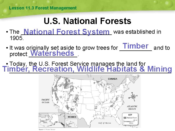 Lesson 11. 3 Forest Management U. S. National Forests • The ______________ National Forest