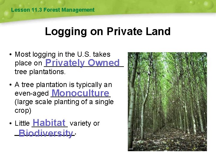 Lesson 11. 3 Forest Management Logging on Private Land • Most logging in the