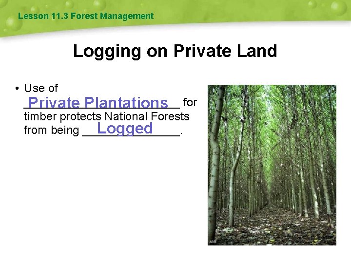 Lesson 11. 3 Forest Management Logging on Private Land • Use of ____________ Private
