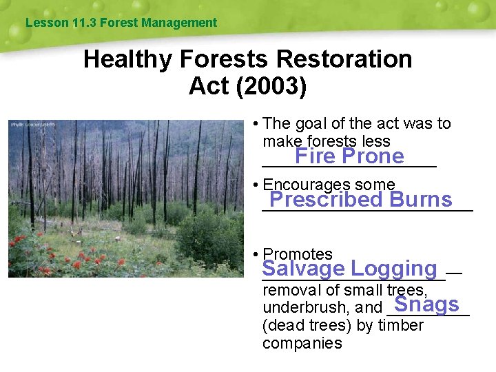 Lesson 11. 3 Forest Management Healthy Forests Restoration Act (2003) • The goal of
