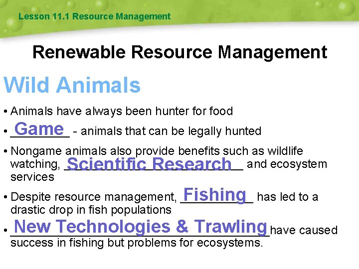 Lesson 11. 1 Resource Management Renewable Resource Management Wild Animals • Animals have always