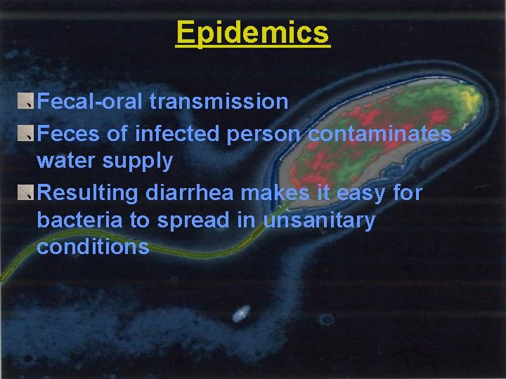 Epidemics Fecal-oral transmission Feces of infected person contaminates water supply Resulting diarrhea makes it