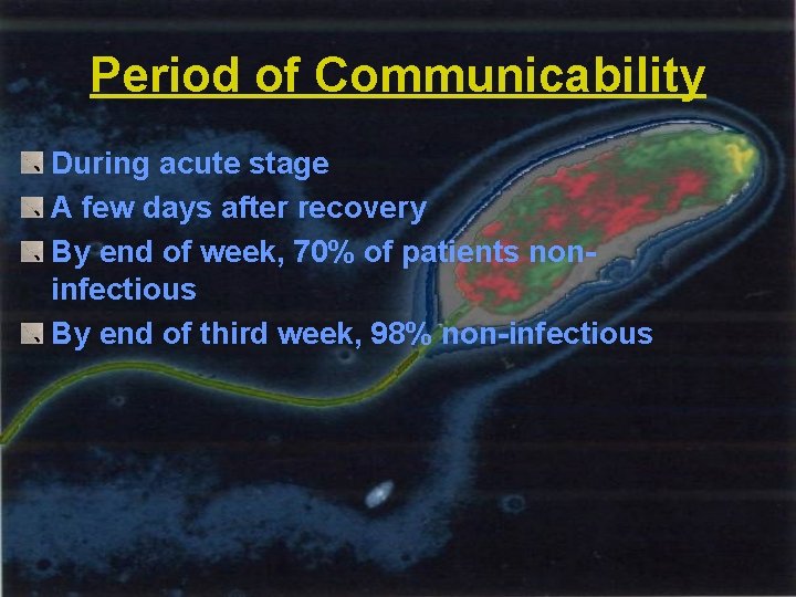Period of Communicability During acute stage A few days after recovery By end of