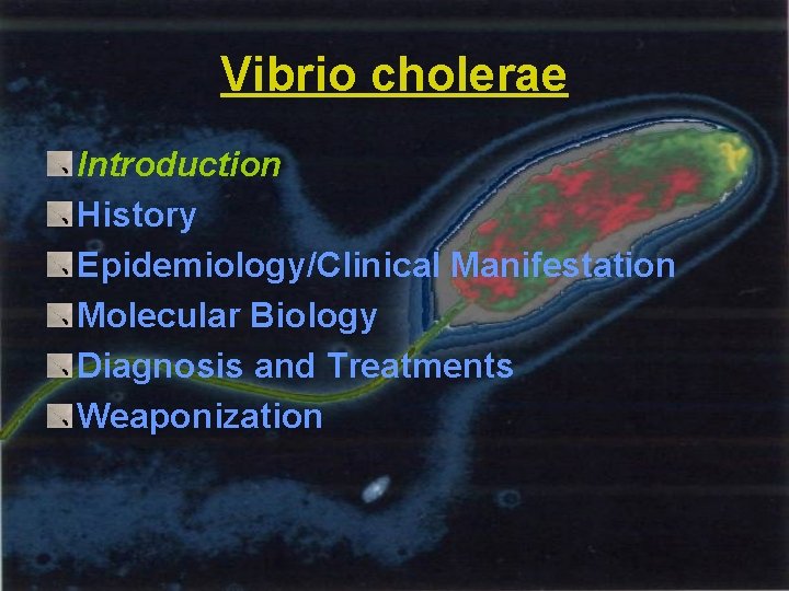 Vibrio cholerae Introduction History Epidemiology/Clinical Manifestation Molecular Biology Diagnosis and Treatments Weaponization 