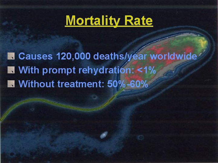 Mortality Rate Causes 120, 000 deaths/year worldwide With prompt rehydration: <1% Without treatment: 50%-60%