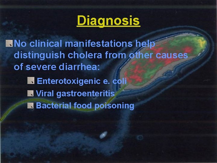 Diagnosis No clinical manifestations help distinguish cholera from other causes of severe diarrhea: Enterotoxigenic