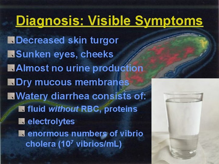 Diagnosis: Visible Symptoms Decreased skin turgor Sunken eyes, cheeks Almost no urine production Dry