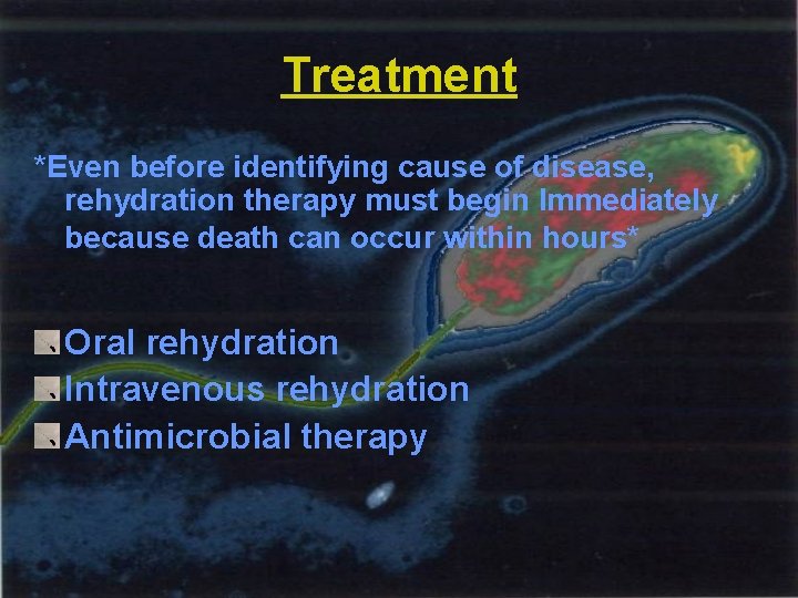 Treatment *Even before identifying cause of disease, rehydration therapy must begin Immediately because death