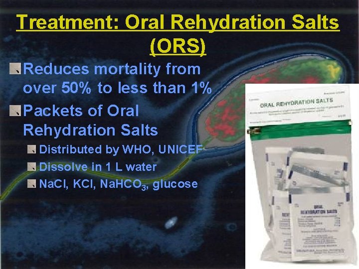 Treatment: Oral Rehydration Salts (ORS) Reduces mortality from over 50% to less than 1%